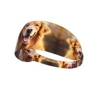 YYHWHJDE Fascia elastica estiva da donna a prova di sudore con immagine di cane Golden Retriever