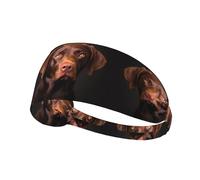 YYHWHJDE Fascia elastica estiva da donna con labrador retriever marrone a prova di sudore