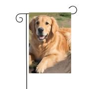 YYHWHJDE Golden Retriever Modello Giardino Bandiera Esterna Cortile Decorazione Moda 30,5 x 45,7 cm