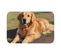 YYHWHJDE Golden Retriever - Tappetino in velluto con bordo bloccato, per camera da letto, salotto, dormitorio, decorazione per la casa
