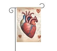 YYHWHJDE Grafico a forma di cuore di anatomia umana, stampa bandiera da giardino, decorazione per cortile, 30,5 x 45,7 cm, spessa moda