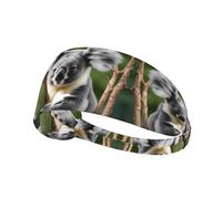 YYHWHJDE Green Leaf Koala Picture Fascia sportiva da donna a prova di sudore fascia elastica estiva