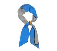 YYHWHJDE Grey Goose stampa la sciarpa di seta lunga della striscia per le donne, striscia morbida e liscia, accessori della borsa