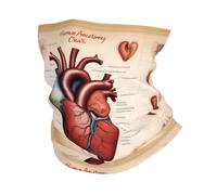 YYHWHJDE Human Anatomy - Foulard con stampa di grafici a forma di cuore, fascia per capelli, maschera sportiva multifunzionale, per uomini e donne