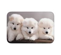 YYHWHJDE Little White Dogs Pattern Prints Hem Mat 40x60 - Copertura da bagno ben realizzata per un comfort e uno stile semplice come una spa