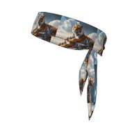 YYHWHJDE Majestic Tiger appoggiato su una roccia con motivo cielo nuvoloso Foulard sportivo, assorbe il sudore e traspirante, fascia per capelli movimento, fazzoletto su entrambi i lati