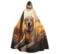 YYHWHJDE Mantello con cappuccio per cani Labrador Retriever per Halloween, senza cerniera, comodo per feste in costume
