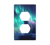 YYHWHJDE Northern Lights Polar Bear Picture Double Socket Wall Panel Electric Socket Cover Plate è resistente agli urti e durevole 11,4 x 7 cm