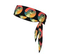 YYHWHJDE Occhiali da sole rossi con stampa di dinosauri, foulard sportivo double-face per donne e uomini, regolabile per tutte le circonferenze della testa