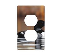 YYHWHJDE Pannello decorativo a doppia presa con motivo uccellini Loon è durevole e adatto per prese di luce accessori per interruttori 11,4 x 7 cm