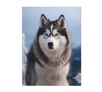 YYHWHJDE Siberian Husky - Coperta super morbida, 101,6 x 76,2 cm, leggera, calda, resistente, adatta per letto e divano