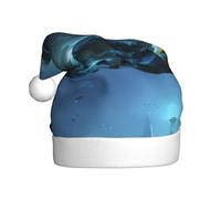 YYHWHJDE Stone Wild Chrysanthemums Prints Cappello di Natale per adulti accessorio di qualità morbido, leggero e soffice