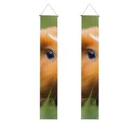 YYHWHJDE Striscione per portico di laurea con stampe di porcellini d'India, robusto, durevole, lavabile e riutilizzabile, decorazione per laurea 30,5 x 180 cm