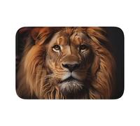 YYHWHJDE Tappetino antiscivolo e ispessito con motivo The Lion's Gaze adatto per bagni, camere da letto, tappetini lavabili 40,6 x 61 cm