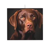 YYHWHJDE Tappetino assorbente da cucina stampato Labrador Retriever marrone, in microfibra super assorbente, antiscivolo oversize