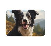YYHWHJDE Tappetino in velluto con bordo bloccato con immagine di Border Collie, per camera da letto, salotto, dormitorio, decorazione per la casa