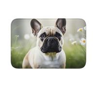 YYHWHJDE Tappetino in velluto con immagine di bulldog francese con bordo bloccato, per camera da letto, salotto, dormitorio, decorazione per la casa