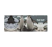 YYHWHJDE Tappetino per mouse con pinguino, 30,5 x 80 cm