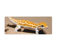 YYHWHJDE Tappetino per mouse extra large con stampa di geco leopardo sabbia 30,5 x 80 cm per apprendimento gioco in ufficio