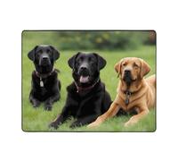 YYHWHJDE Tappeto con stampa di cani Labrador Retriever, 160 x 122 cm, morbido al tatto, velluto fine, lavabile, resistente all'usura, senza pelucchi