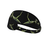 YYHWHJDE The Brave Mantis Picture - Fascia sportiva da donna, a prova di sudore, fascia elastica estiva