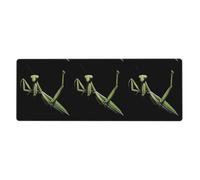 YYHWHJDE The Brave Mantis Picture - Tappetino per mouse extra large, per computer e ufficio, tastiera da gioco antiscivolo, versione ispessita, 30,5 x 80 cm