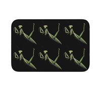 YYHWHJDE The Brave Mantis - Tappetino in velluto con bordo bloccato, per camera da letto, salotto, dormitorio, decorazione per la casa