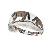 YYHWHJDE Wild Bobcat Picture Fascia sportiva da donna a prova di sudore fascia elastica estiva