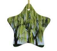 YYHWHJDE Willow Tree Prints Christmas Ceramic Star Pendant Ornament Easy to Hang, molto adatto per decorare alberi di Natale