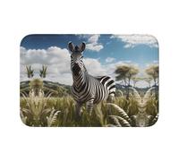 YYHWHJDE Zebra on the Grassland Picture - Tappetino antiscivolo e ispessito, adatto per bagni, camere da letto, lavabile, 40,6 x 61 cm