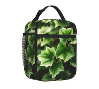 Yyoretp Borsa per il pranzo con stampa di alberi di edera, per uomini e donne, durevole, riutilizzabile, per adulti, per viaggi, lavoro, picnic.