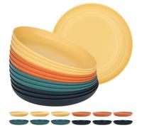 YYTECH 12 piatti di plastica riutilizzabili, 23 cm, piatti da campeggio | Adatti al microonde e alla lavastoviglie, piatti di plastica colorati, facilmente infrangibili, per cene, feste, campeggio