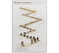 YZWRWRMKTB Evolution of Humans Poster, Scientific Timeline Chart from Primates to People, Knowledge Guide for School, Home, Office(Framed,08x12inch(20x30cm))