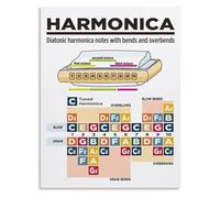 YZWRWRMKTB Learn Harmonica Poster Diatonic Harmonica Notes and Scales Chart Educational Wall-Art for Music Students(Framed,16x24inch(40x60cm))