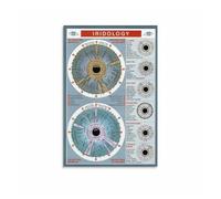YZWRWRMKTB Master Iridology Chart, Comprehensive Iris Analysis Reference on Canvas, for School of Natural Medicine, Library, Office(Unframed,16x24inch(40x60cm))
