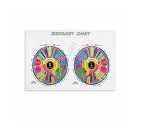 YZWRWRMKTB Master Iridology Chart, Comprehensive Iris Analysis Reference on Canvas, for School of Natural Medicine, Library, Office(Unframed,08x12inch(20x30cm))