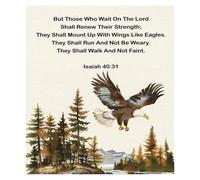 YZWRWRMKTB Modern Scripture Canvas Art, Isaiah 40:31 “They Will Soar” Print, Minimalist Christian Decor for Living Room, Office, Farmhouse(Framed,16x24inch(40x60cm))