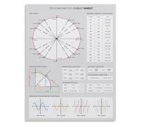 YZWRWRMKTB Pre-Calculus Poster Trigonometry Cheat Sheet with Unit Circle and Graphs Educational Math Study Aid for College(Framed,08x12inch(20x30cm))