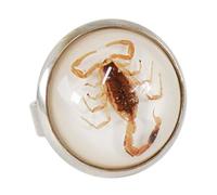 YZYDF Eleganti anelli rotondi con scorpione, anelli di apertura, in resina, gioielli unici per le dita, regalo alla moda per coppie