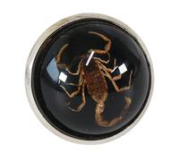 YZYDF Eleganti anelli rotondi con scorpione, anelli di apertura, in resina, gioielli unici per le dita, regalo alla moda per coppie