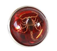 YZYDF Eleganti anelli rotondi con scorpione, anelli di apertura regolabili in resina, gioielli unici per le dita, regalo alla moda, per coppie, ambra