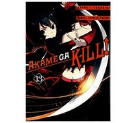 Zabójcza Akame (Akame ga Kill) (Tom 13) - Takahiro [KOMIKS]
