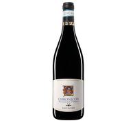 Zaccagnini Chronicon Montepulciano d'Abruzzo DOC 2021 0,75 ℓ