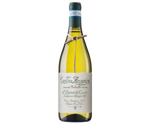 Zaccagnini Il Bianco di Ciccio Trebbiano d'Abruzzo DOC 2025 0,75 ℓ
