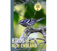 Zach Adams Birds of New England (Tascabile)