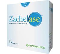 ZACHELASE 20BUST