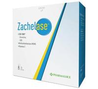 ZACHELASE 20BUST