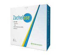 ZACHELASE 20BUST