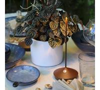 zafferano Pina Pro lampada da tavolo ricaricabile, LED, LD2650R3, Pina Pro; Pina [Lampade per Interni > Lampade a batteria]