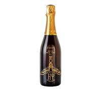 Zago Birrificio Agricolo - The Original HY Super Beer - cl. 75 - ZAGO - Birra Bionda - 1 Bottiglia da cl. 75 -